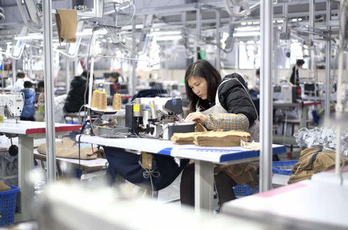 服裝輔料制造業(yè)沖刺開(kāi)門紅，企業(yè)生產(chǎn)忙助力經(jīng)濟(jì)穩(wěn)增長(zhǎng)