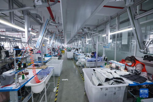 湖州童裝之都 以輔料制造為基石，從“做產(chǎn)品”到“創(chuàng)品牌”的產(chǎn)業(yè)升級(jí)之路