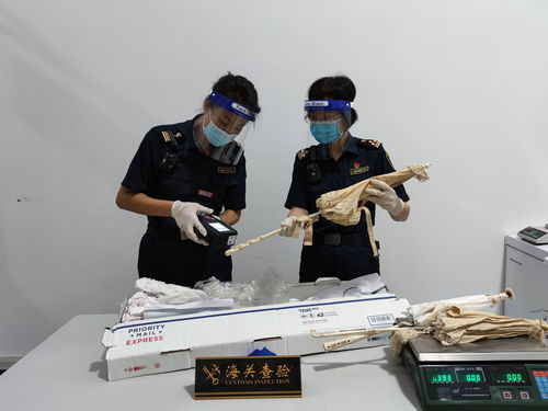江門廣播電視臺(tái) 打造精品節(jié)目，傳播僑鄉(xiāng)之聲